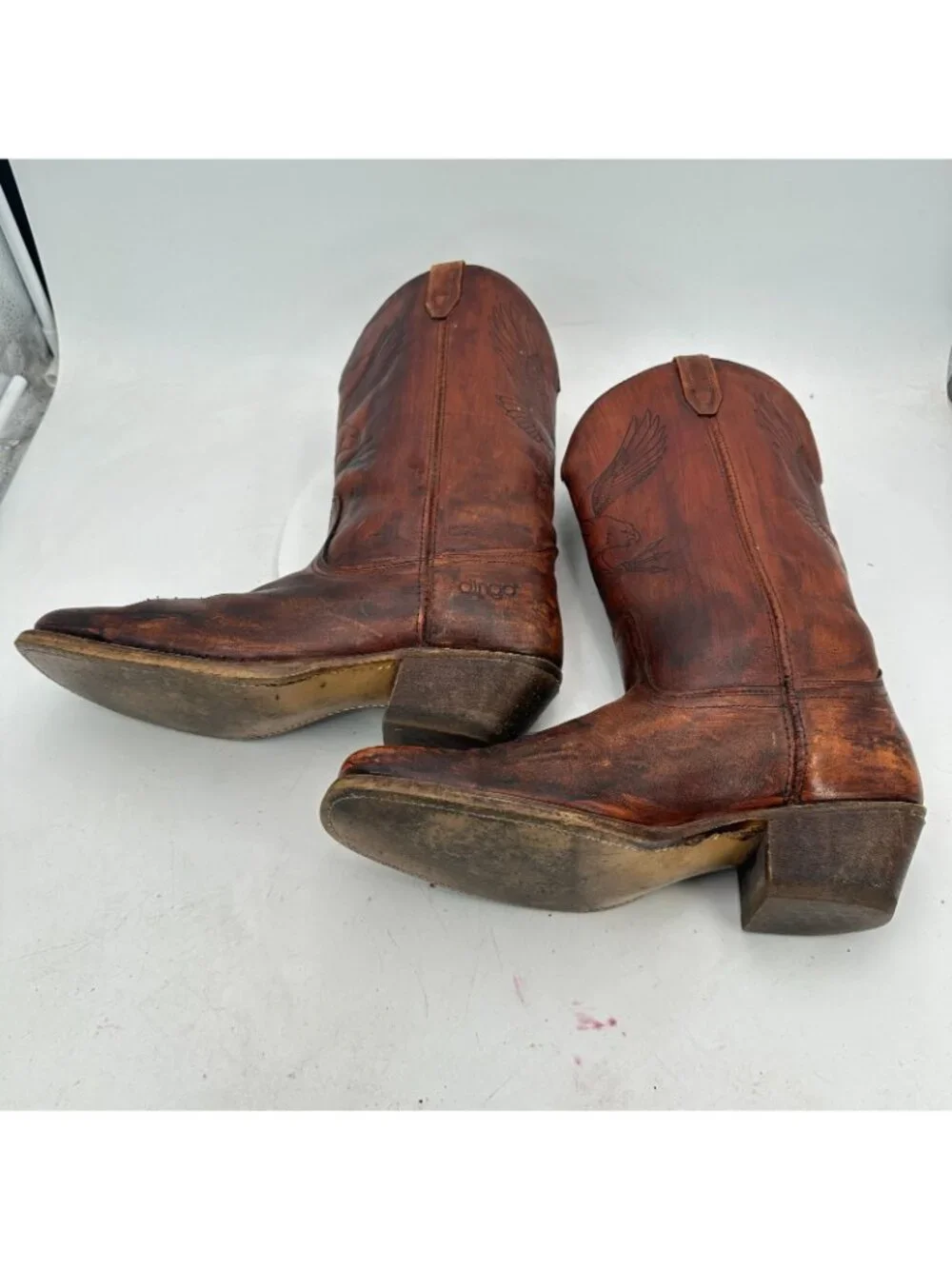 dingo size 12